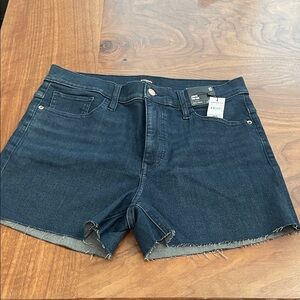 Express Dark Blue Jean Shorts